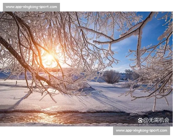 日常微光：触摸生活的温度